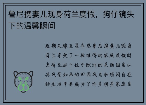 鲁尼携妻儿现身荷兰度假，狗仔镜头下的温馨瞬间